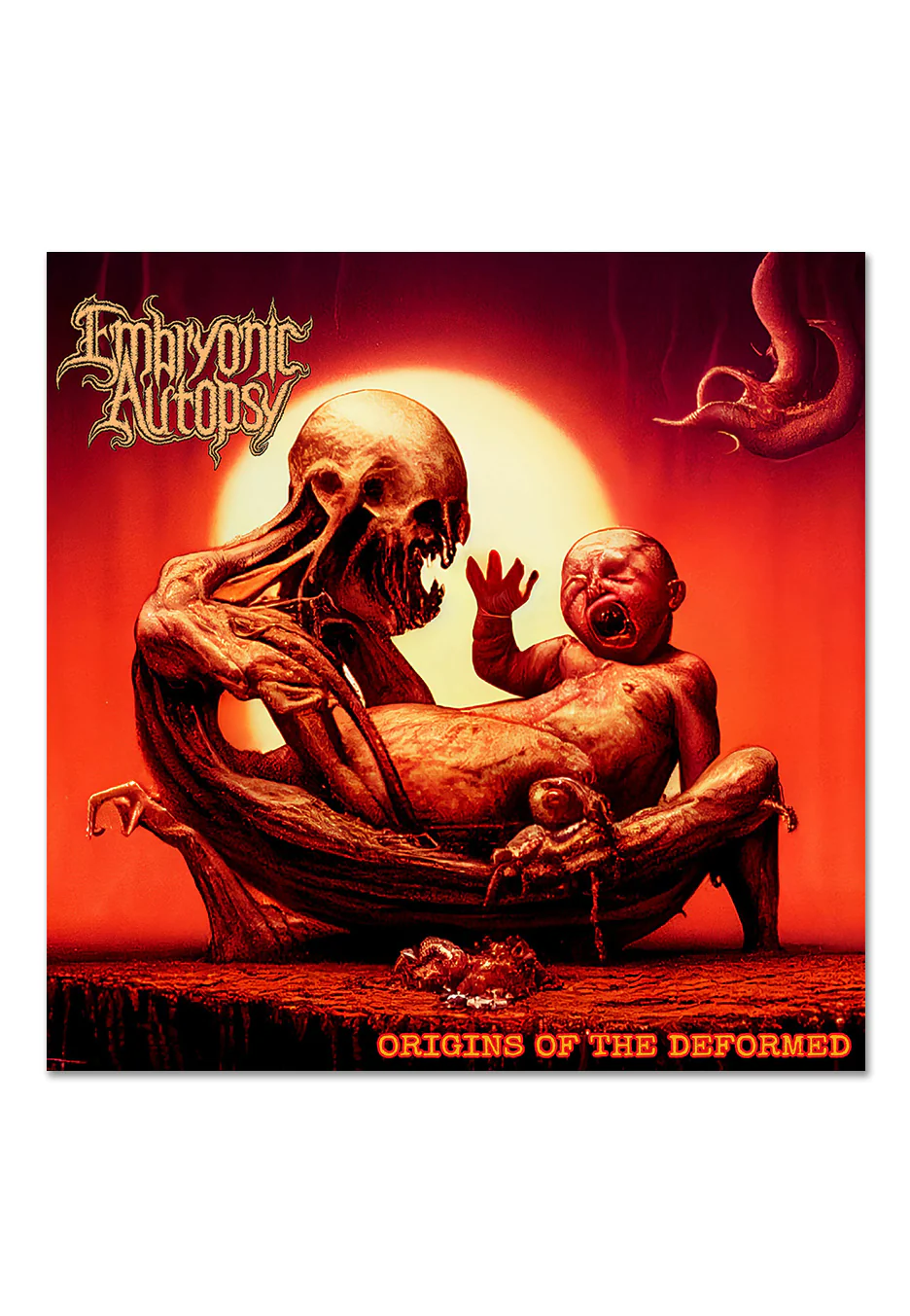 Embryonic Autopsy